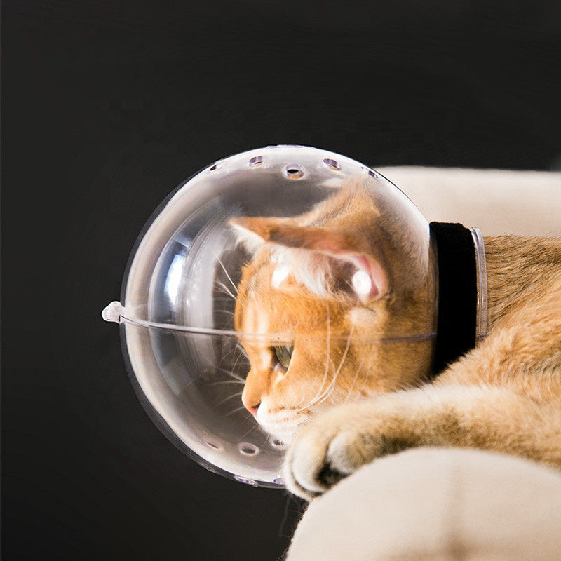 Capucha para gatos anti-mordidas