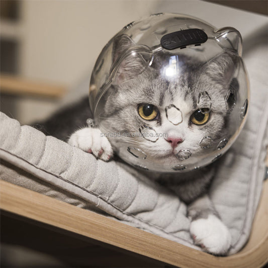 Capucha para gatos anti-mordidas