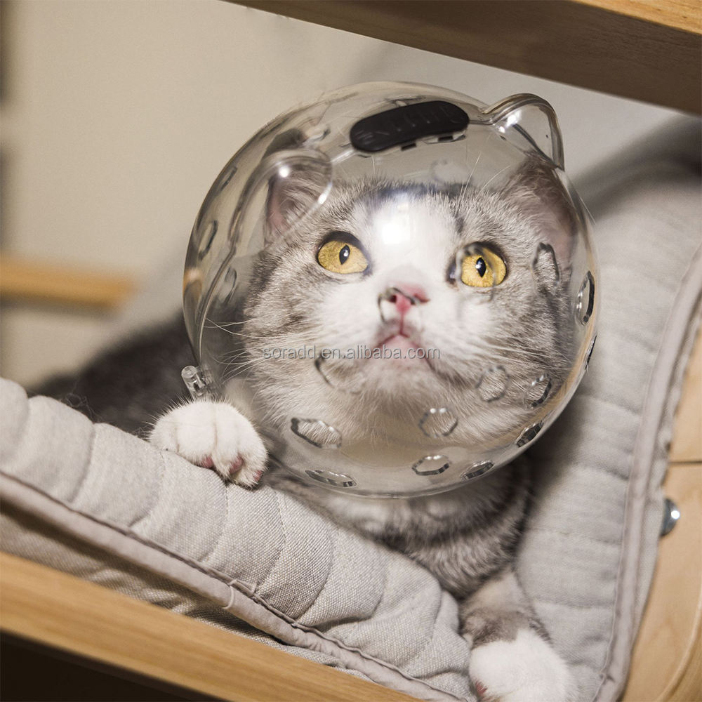 Capucha para gatos anti-mordidas