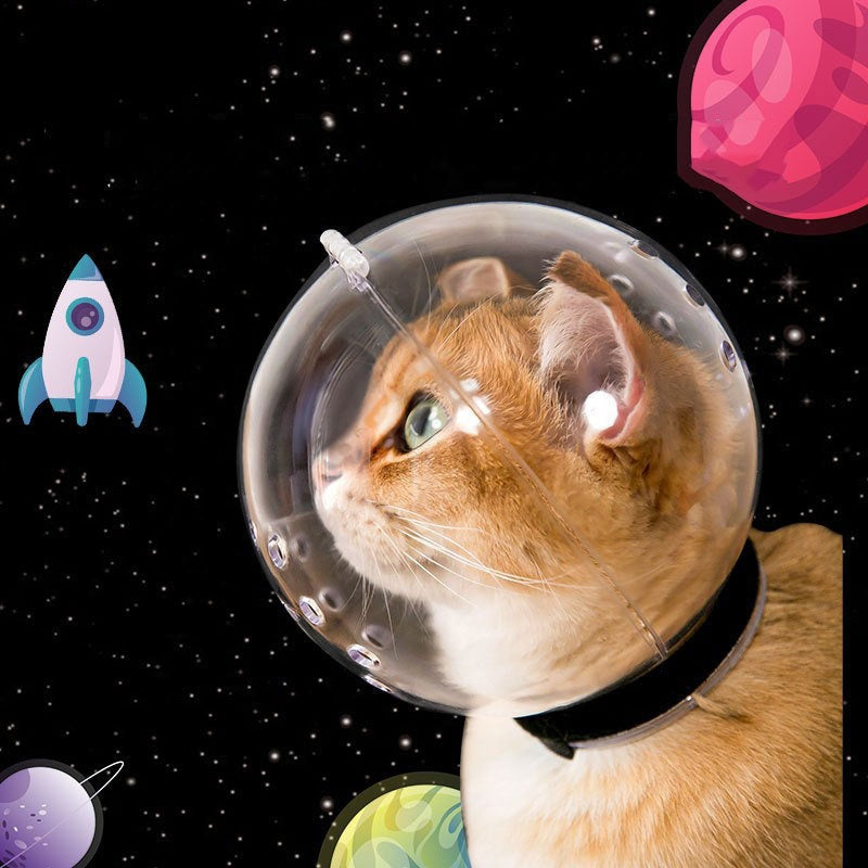 Capucha para gatos anti-mordidas