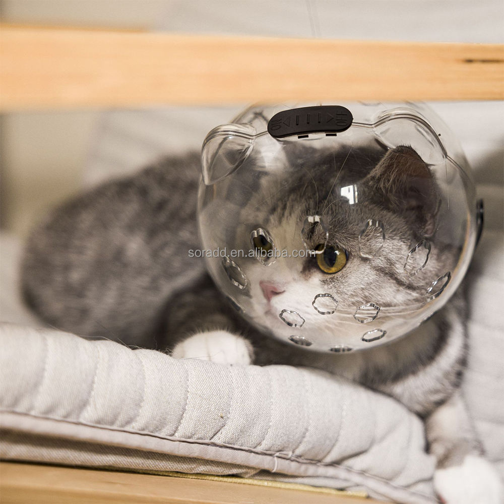 Capucha para gatos anti-mordidas