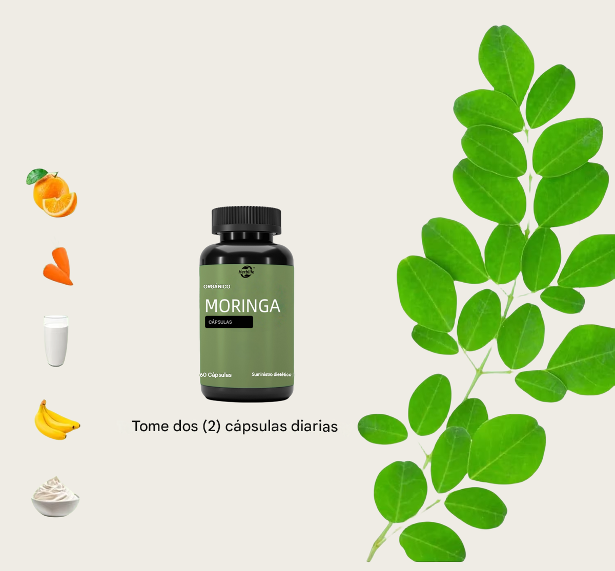 Cápsulas de moringa-Energía vegetal y antioxidante