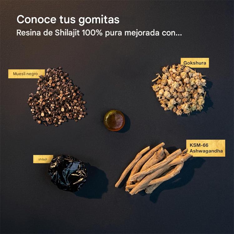 Gomitas de Oro de Shilajit